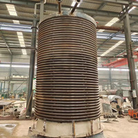 Chaudière verticale à air chaud haute efficacité de 700 kW, 600 000 kcal, fonctionnant au charbon, à la biomasse et au bois, pour l'impression et la teinture textile