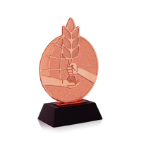 Nouveau trophée métallique personnalisé de meilleure qualité, gravure en forme de riz, prix du trophée honneur pour souvenir, cadeau d'affaires