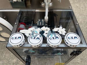 Joint vertical automatique VFFS de suffisance de forme de machine à emballer de poche de poudre de Snus avec le contrôle de PLC - Product Image 6