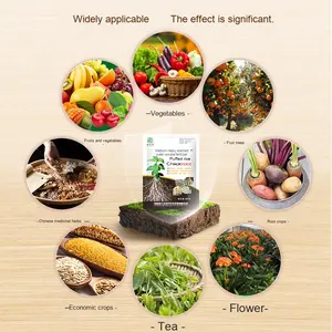 Сильный укорененный порошок Быстрый взрыв корня органическое удобрение сельскохозяйственное удобрение - Product Image 6
