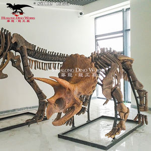 T-rex y Triceratops dinosaurio <span class=keywords><strong>esqueleto</strong></span> réplica fósil - Product Image 6