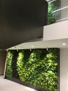 Erba Artificiale in Plastica (Stile Moderno Semplice) dal Guangdong per Pareti Verdi e Paesaggistica - Product Image 3