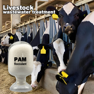 Polímero de Poliacrilamida de Fabricante, Poliacrilamida Catiónica en Polvo para Aguas Residuales Domésticas/Lodos Ganaderos - Product Image 2