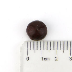 Bonbons chocolats croustillants enrobés Melissa Cocoball - Product Image 4