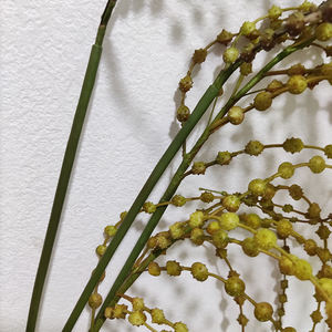 סיטונאי פלסטיק מלאכותי אמאנטוס, דמעות ירוק של מאהב ירוק תלייה צמח בוש פרחים חתונה פרחים - Product Image 6