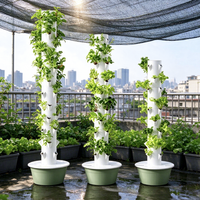 Tour hydroponique pour ananas et légumes-feuilles - Kit de culture hydroponique en tour
