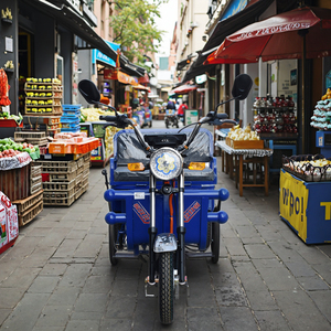รถสามล้อบรรทุกสินค้าไฟฟ้า3ล้อสำหรับงานหนัก1ม. พร้อมโครงเหล็กมอเตอร์แบบเปิดมอเตอร์ได้รับการรับรอง CCC สำหรับใช้ในฟาร์ม - Product Image 1