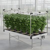 Banc roulant Premium Ebb and Flow avec système de suspension pour éclairage, table de culture hydroponique de qualité commerciale