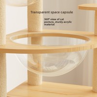 Tour griffoir pour chat toutes saisons, multi-niveaux, en bois, durable, avec double capsule spatiale, design minimaliste, petit modèle
