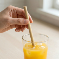 Pailles à boire écologiques jetables en bambou naturel, qualité alimentaire, pour boba, café, jus, bar, restauration, vente en gros