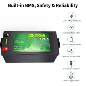 6000 Cycle 12V/<b>24V</b> 100Ah-400Ah Solid State <b>Battery</b> Pack for Solar Energy Storage System IP65 5-Year Warranty - Product Image 2