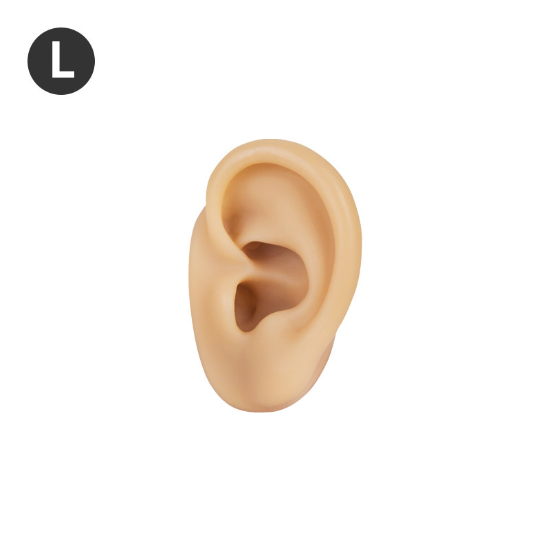 Oreja Izquierda - Tono de Piel Claro, Oreja Pequeña