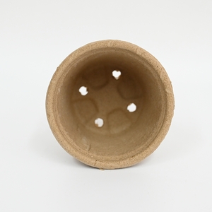 Bandejas de Pulpa de Papel Biodegradable para Semilleros, Densidad de Orificios Personalizable, para Jardín Doméstico y Granjas de Flores - Product Image 2