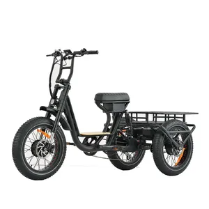 Otm Driewielaandrijving Motor 20 "X 4.0 Dikke Bergband Big Power Camping Reizen 3-wiel Elektrische Fiets Driewieler Elektrische Fiets