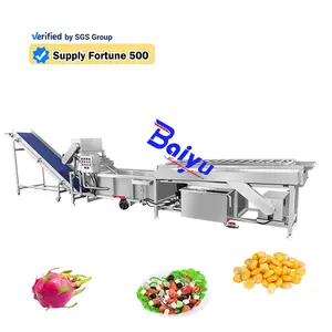 High Capacity Air Bubble Vegetable Washer/ Black Pepper Cleaning Machine/ Oyster Washing Machine