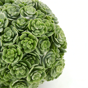 Pianta Succulenta Artificiale di Alta Qualità, <span class=keywords><strong>Mini</strong></span> Sfera di Rose Finte per Decorazione Casa e Ufficio, Composizione di Piante <span class=keywords><strong>Succulente</strong></span> Finte in Vaso - Product Image 5