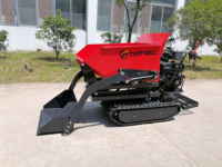 Garden Track Dumper 1 Tonne Small Crawler Dump Minidumper 500KG 1000KG