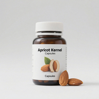 Extrait de noyau d'abricot en poudre de qualité alimentaire, fourni par l'usine