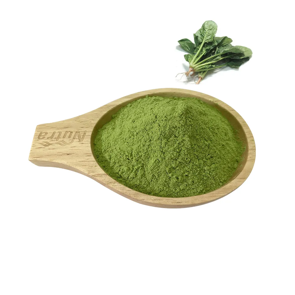 Los fabricantes suministran polvo vegetal verde polvo de extracto de espinaca orgánica a la venta