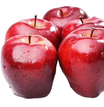 fresh red delicious apple exporter to middle east and dubai