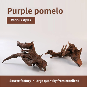 Micro-paesaggio con Granchi Eremiti e <span class=keywords><strong>Rettili</strong></span>, Legno Morto Ecologico per Tutte le Stagioni, per Acquari - Product Image 2