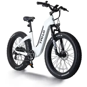 Vélo de neige électrique femme 48v/500W SHIMANO arrière 7S 26 "* 4.0 gros pneu cadre en alliage d'aluminium vélo ebike