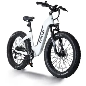 Bicicleta de nieve eléctrica hembra 48V/500W SHIMANO trasera 7S 26 "* 4,0 neumático gordo Marco de aleación de aluminio bicicleta eléctrica