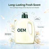 Lessive portable antibactérienne écologique OEM à marque privée, fraîcheur longue durée, parfum jasmin pour zones humides