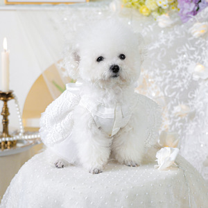 PETCIRCLE - Product Image 4