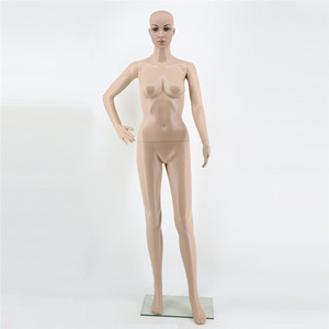 Aaafl — mannequin double corps et demi-corps pour <span class=keywords><strong>femme</strong></span>, accessoire cosmétique, OEM et ODM, Offre Spéciale - Product Image 2