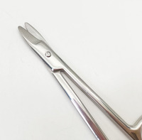 Ciseaux à ongles en acier inoxydable, ciseaux de beauté, ciseaux à sourcils, ciseaux de maquillage
