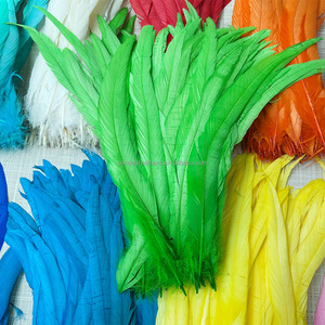 Ağartılmış boyalı 12-14 inç horoz kuyruk tüyler 30-35 cm horoz tüyler düğün festivali parti süslemeleri için el sanatları DIY karnaval - Product Image 2