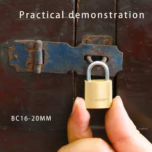 BC16 20mm 중국 보안 잠금 제조 업체 최고 안전 높은 보안 도어 자물쇠 마스터 키 최고의 저렴한 황동 자물쇠