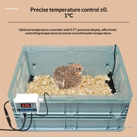 Couveuse automatique pour poussins avec lampe à température contrôlée, pour petits oiseaux, poulets, canards, oies, cailles
