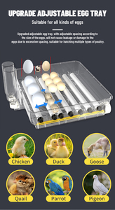 WONEGG Incubateur d'Œufs Automatique LED Mire-Œufs 108 Nouvel Incubateur Solaire 100 Œufs à Couver - Product Image 2