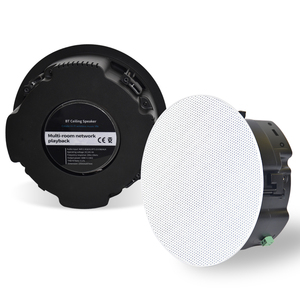 Haut-parleur <span class=keywords><strong>de</strong></span> plafond sans fil BT5.3 actif/passif avec micros sans fil, systèmes <span class=keywords><strong>de</strong></span> cinéma maison avec amplificateur - Product Image 3