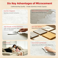 Revêtement en micro-ciment, peinture artistique sans joint, imperméable, résistante aux rayures, aux taches et à l'usure, peinture murale et de sol en ciment commercial