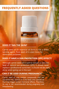 Factory Supply Bulk Turkish Carrot Seed Essential <b>Oil</b> Daucus carota Steam Distilled for Aromatherapy Cosmetics Skincare <b>Diffuser</b> - Product Image 4
