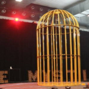 Plate-forme lumineuse <span class=keywords><strong>Striptease</strong></span> Dibbler Lampe Hathpace Stripper Plate-forme Cage Merry Musical Dance Go-Go Dance Stage Lights - Product Image 3