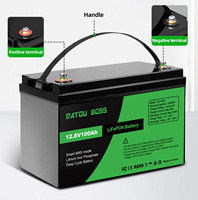 Batterie Solaire Lithium-Ion DATOU BOSS 12V 100Ah LiFePO4 avec BMS 12.8V pour Stockage Domestique à Cycle Profond