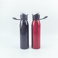 Bouteille d'eau réutilisable en aluminium de 650 ml, bouteille en aluminium, bouteille de sport pour le camping, vente en gros