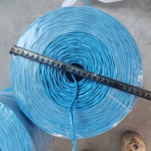 Corde de regroupement en PP bleue, simple couche, antidérapante, durable, à déchirure manuelle, pour emballage de légumes - Product Image 1