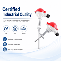 Class A Pt100 Temperature Sensor with Multiple Thread Options for Standard Industrial Liquid and Gas Temperature Measurement
