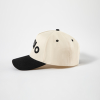 Nueva Gorra de Béisbol Estilo Hip Hop Retro de Cinco Paneles, Bicolor, con Bordado Personalizado