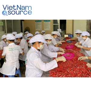 Chile rojo picante premium-Exportación de Vietnam Chile seco entero Platos culinarios globales perfectos-Precio competitivo de fábrica - Product Image 5