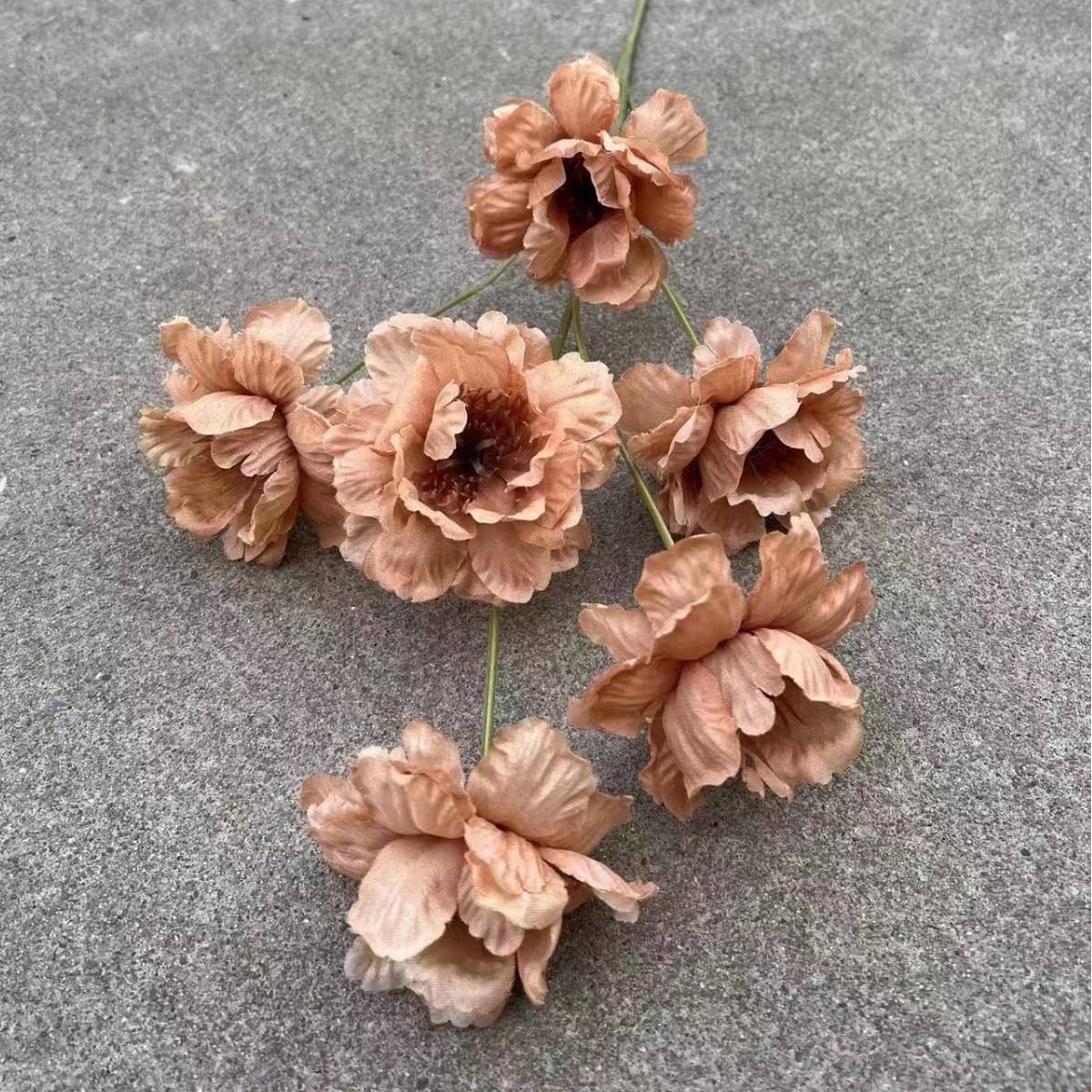 สีน้ำตาล ข้อเสนอพิเศษ แกดเจเนียแกงกะหรี่ 6 หัว