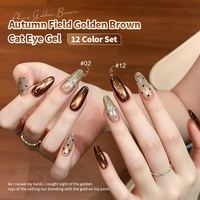 Ensemble de vernis à ongles gel effet œil de chat 12 couleurs, 12 ml, brun doré, ambre noir, caramel, café, satiné, perles de verre