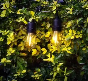 휴일 장식 조명 Feit 필라멘트 에디슨 전구 48 피트 야외 정원 LED 문자열 빛