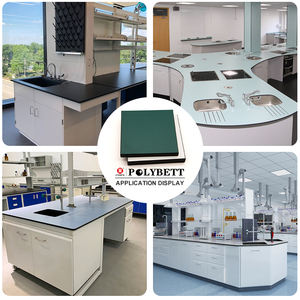 Superficie de Trabajo de Mesa de Laboratorio de Laminado HPL para Instalaciones de Atención Médica, para Laboratorio de Biología - Product Image 5