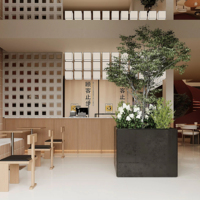 Service de dessin de construction et de rendu 3D Max Nexus Villa pour plans d'aménagement général écologiques et conception intérieure moderne de magasins alimentaires